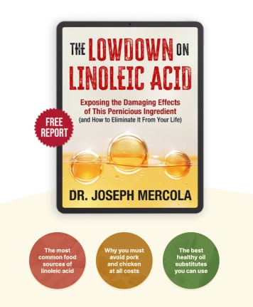 Linoleic Landing Page